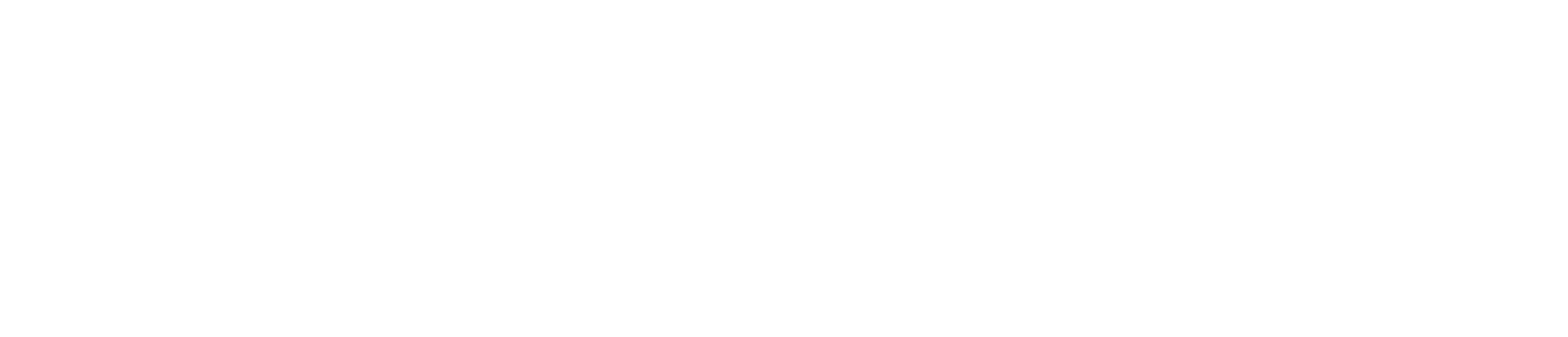 Big Marlin Group white horizontal logo